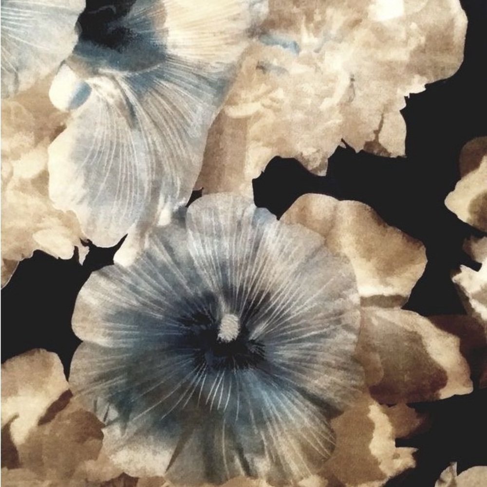 Meet your Posher, Kassandra